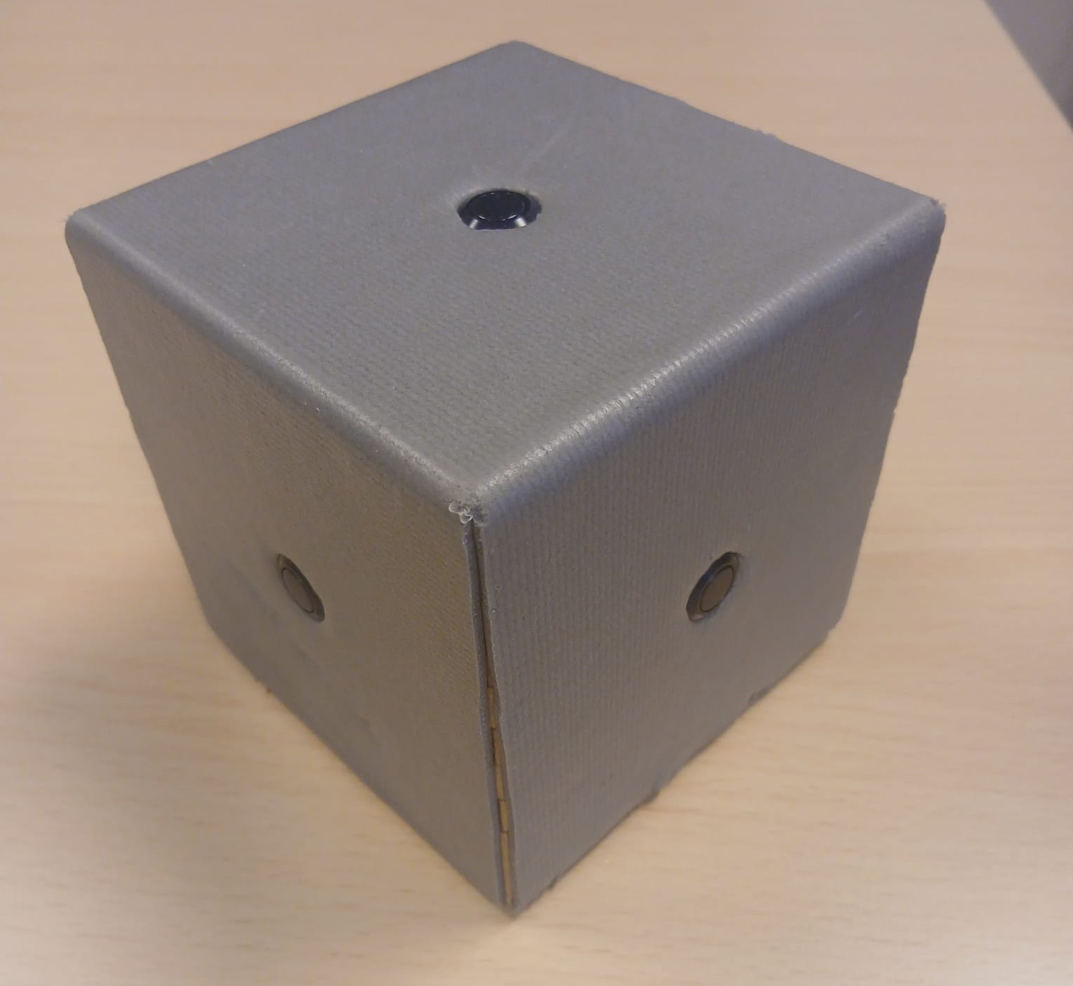 Cube prototype for Non-Human Primates (WP2)